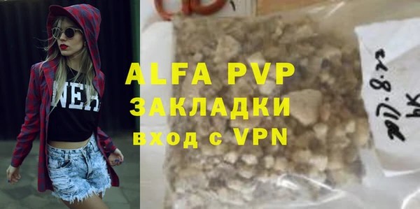 прущие грибы Мегион