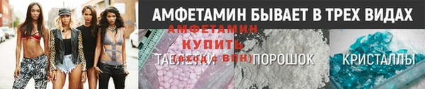 прущие грибы Мегион