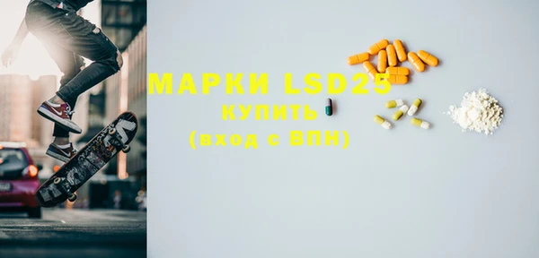 прущие грибы Мегион