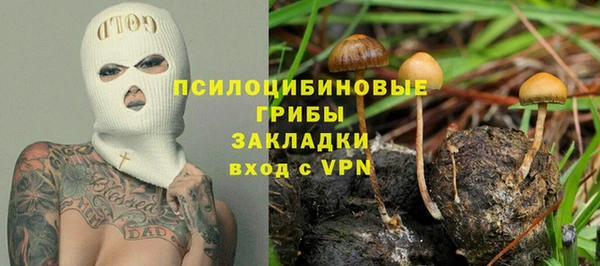 амф Медногорск