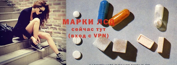 прущие грибы Мегион