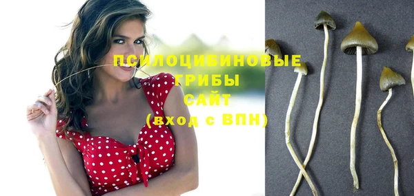дживик Гусев