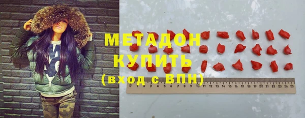 прущие грибы Мегион