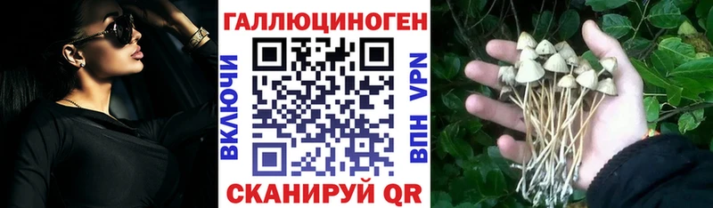 гидра зеркало  Жуков  Галлюциногенные грибы Psilocybine cubensis 