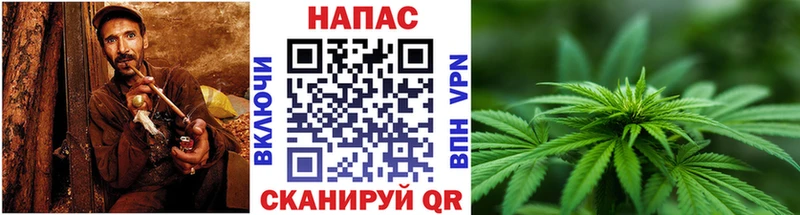 Бошки Шишки OG Kush Жуков